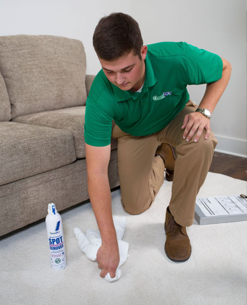 Specialty Stain Removal Services by Community Chem-dry in Sarasota and Venice FL