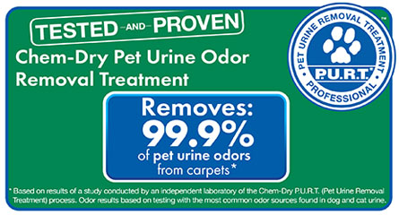 Pet Urine Removal Sarasota
