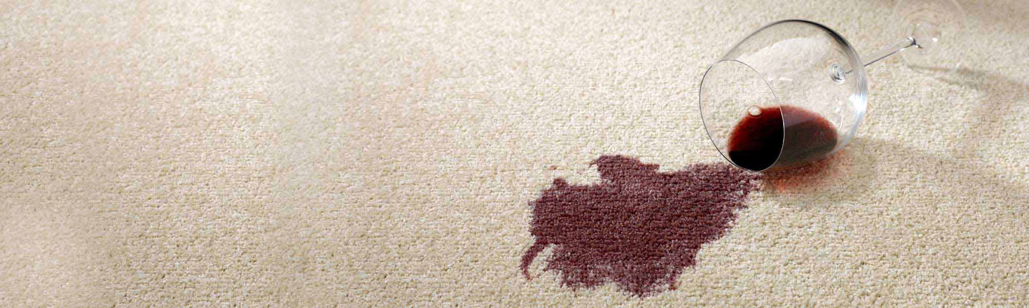 Professional Stain Removal Service by Community Chem-Dry in Sarasota and Venice FL